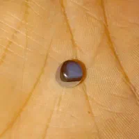 عقیق سلیمانی آبی اصل