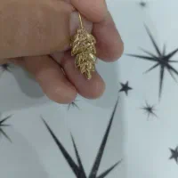 گمشده گوشواره