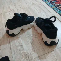 کفش|کیف، کفش، کمربند|کوهدشت, |دیوار