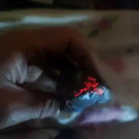 سنگ اوپال|جواهرات|تهران, گمرک|دیوار