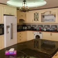 آپارتمان خاص ۲۴۵ متری با ۶۰ متر حیاط ، ویو ابدی|فروش آپارتمان|تبریز, |دیوار