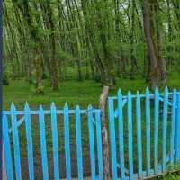 اجرای تور گلابگیری کاشان