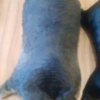 خیگ|کلکسیون و سرگرمی|ایذه, |دیوار