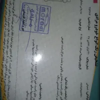 دنا پلاس رخش سیاه