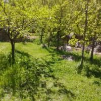 باغ 2000 متری در آل