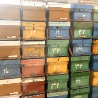 صندوق کندو خالی