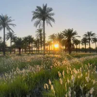 یک-قطعه-زمین-دراکباتان-خ-نهم-ترابری