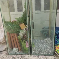 دو عدد آکواریم ایستاده