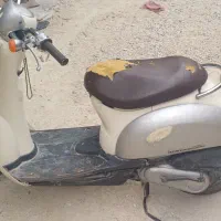پاکشتی 2017 اسکویی