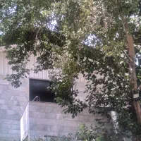 حراست و نگهبان