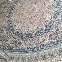 قالی 12متری|فرش|شیروان (خراسان), |دیوار