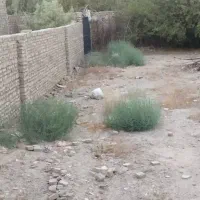 باغ باغچه|فروش زمین و ملک کلنگی|تهران, یافت‌آباد|دیوار