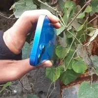 Zaaپلمپ زد ابiPhone 13|موبایل|خرم‌آباد (تنکابن), |دیوار