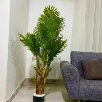 درختچه های مصنوعی وارداتی|گل مصنوعی|لاهیجان, رجایی|دیوار