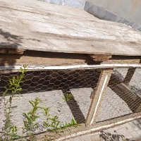 قفس|لوازم جانبی حیوانات|فردوس (خراسان), |دیوار