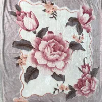 ۲عدد پتوی گلبافت دو نفره|رختخواب، بالش، پتو|ایلام, |دیوار