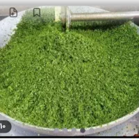 سبزی مارکت بهار فرشته سبزیجات میاندربندخام سرخ خشک|خوردنی و آشامیدنی|کرمانشاه, |دیوار