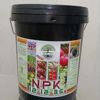 کود تخصصی افزایش گلدهی زعفران