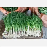 ورکواز تازه