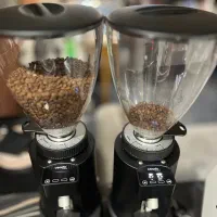 اسیاب قهوه ceado