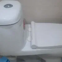 فرنگی گلسار مدل پارمیس