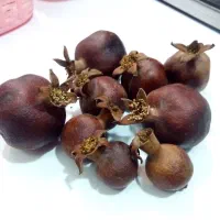 انار طبیعی خشک تزئینی