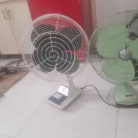 فروش پنکه کلکسیونی