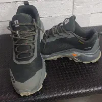 کفش|کیف، کفش، کمربند|شهرضا, |دیوار