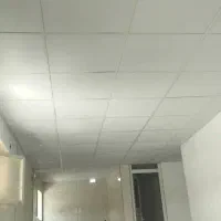 اجرای سقف کاذب|خدمات پیشه و مهارت|بوشهر, |دیوار