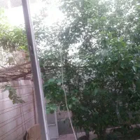 اجاره-واحد-اداری-80-متر-دربست