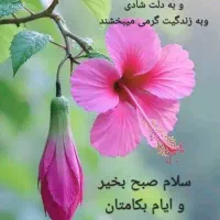 ی باب مغازه ۲۳رهنو احاره