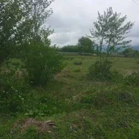 زمین بایر لاهیجان سیاهکل|فروش زمین و ملک کلنگی|سیاهکل, |دیوار