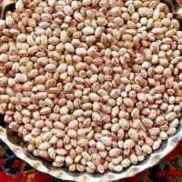 چیتی سوپر