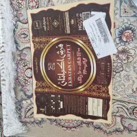 فرش اکباتان|فرش|بندر انزلی, شاکوچه|دیوار