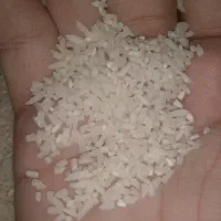 برنج سر لاشه هاشمی اعلاء طعم ایرانی پخت دانه بلند