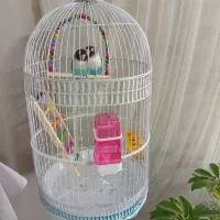 قفس ایستاده پایه دار