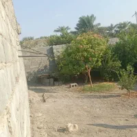 خانه فروشی کهنوج|فروش خانه و ویلا|کهنوج, |دیوار