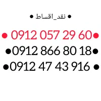 09124743916