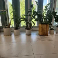 پیش-فروش-آپارتمان-125متر-ادبیات-چهل-مقام-سفر