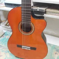 ساخت گیتار دست ساز  و تعمیر حرفه ای  همه نوع گیتار