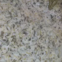 آشپزی درمنزل برای شرکت اداره یا...جاهای خصوصی|خدمات پذیرایی، مراسم|سلماس, |دیوار