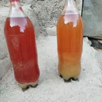 آبغوره تازه