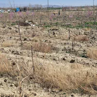 زمین حاشیه جاده/تهاتر /معاوضه|فروش زمین و ملک کلنگی|گلبهار, نوبهار|دیوار