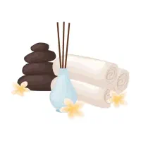 خدمات تخصصی ماساژ vip شبانه روزی