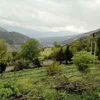 840متر-زمین-مشجر-ییلاقی-ویو-بی-نظیر-و-کلبه-قدیمی