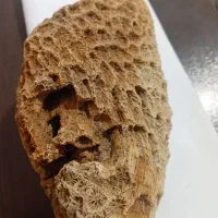 سنگ مرجان دریای|کلکسیون اشیاء عتیقه|بابا حیدر, |دیوار