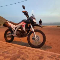 دلتا رالی۲۵۰