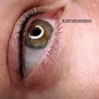 خدمات میکروبلیدینگ ومیکروپیگمنتیشن|خدمات آرایشگری و زیبایی|صدرا-فارس, فاز ۱|دیوار