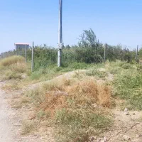 زمین باغ|فروش زمین و ملک کلنگی|قم, محمد آباد|دیوار