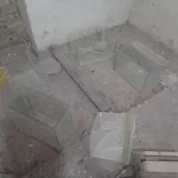 اکو‌ا‌ریوم|ماهی|تویسرکان, |دیوار